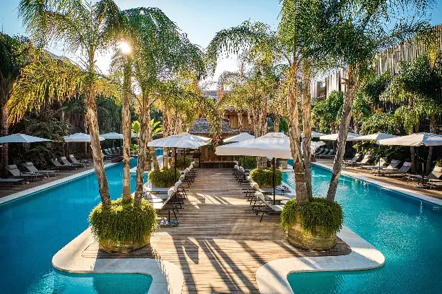Biblos Resort Alaçatı'da palmiyelerle çevrili havuz ve şezlonglar