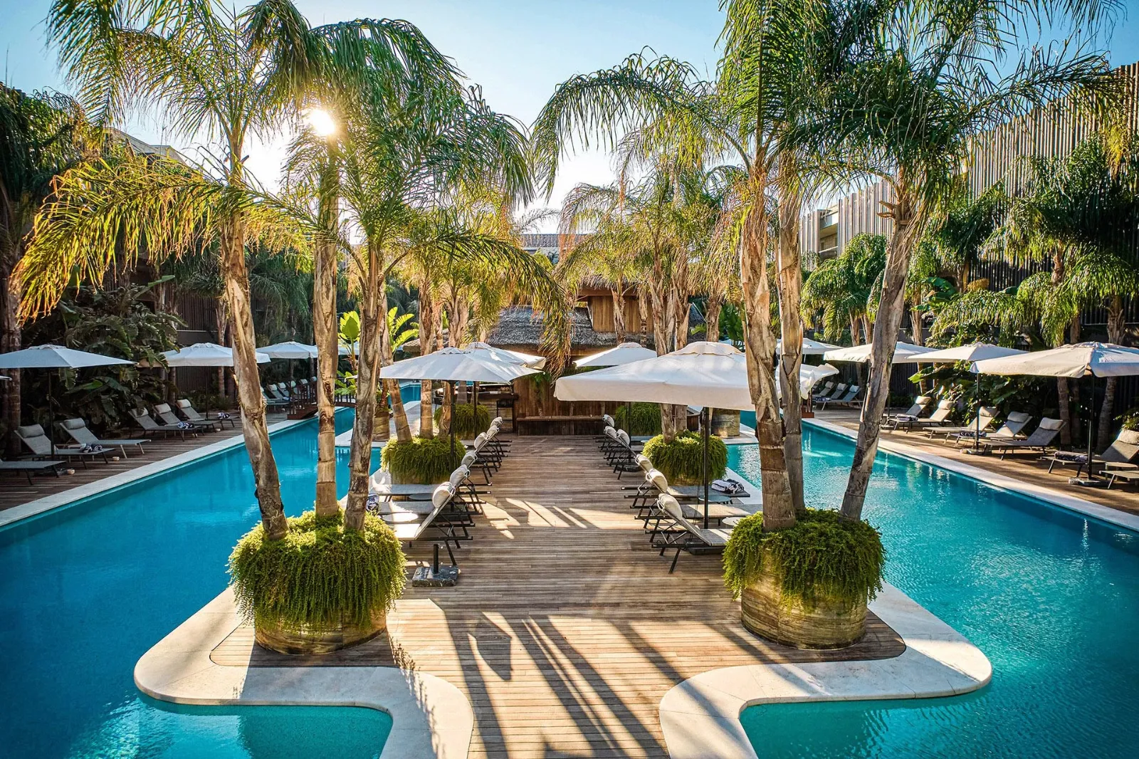 Biblos Resort Alaçatı'da palmiyelerle çevrili havuz ve şezlonglar