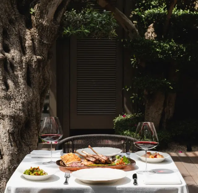 Zeytin ağacı altında akşam masası